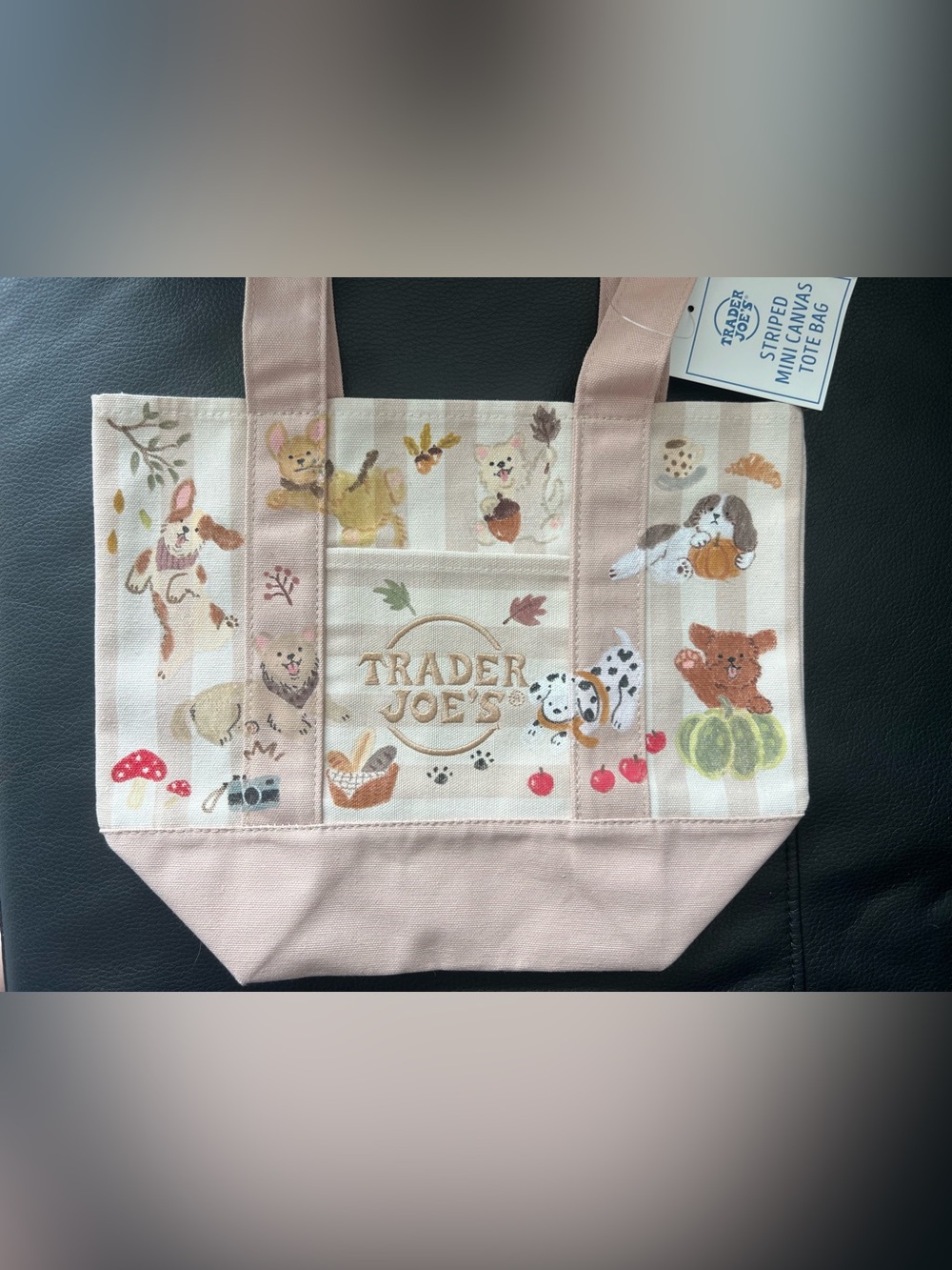 Trader Joe’s x Tales of Autumn Dogs hand-painted mini beige striped canvas tote